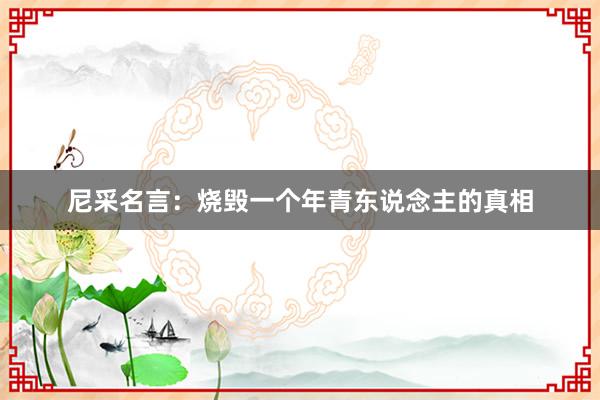 尼采名言:烧毁一个年青东说念主的真相